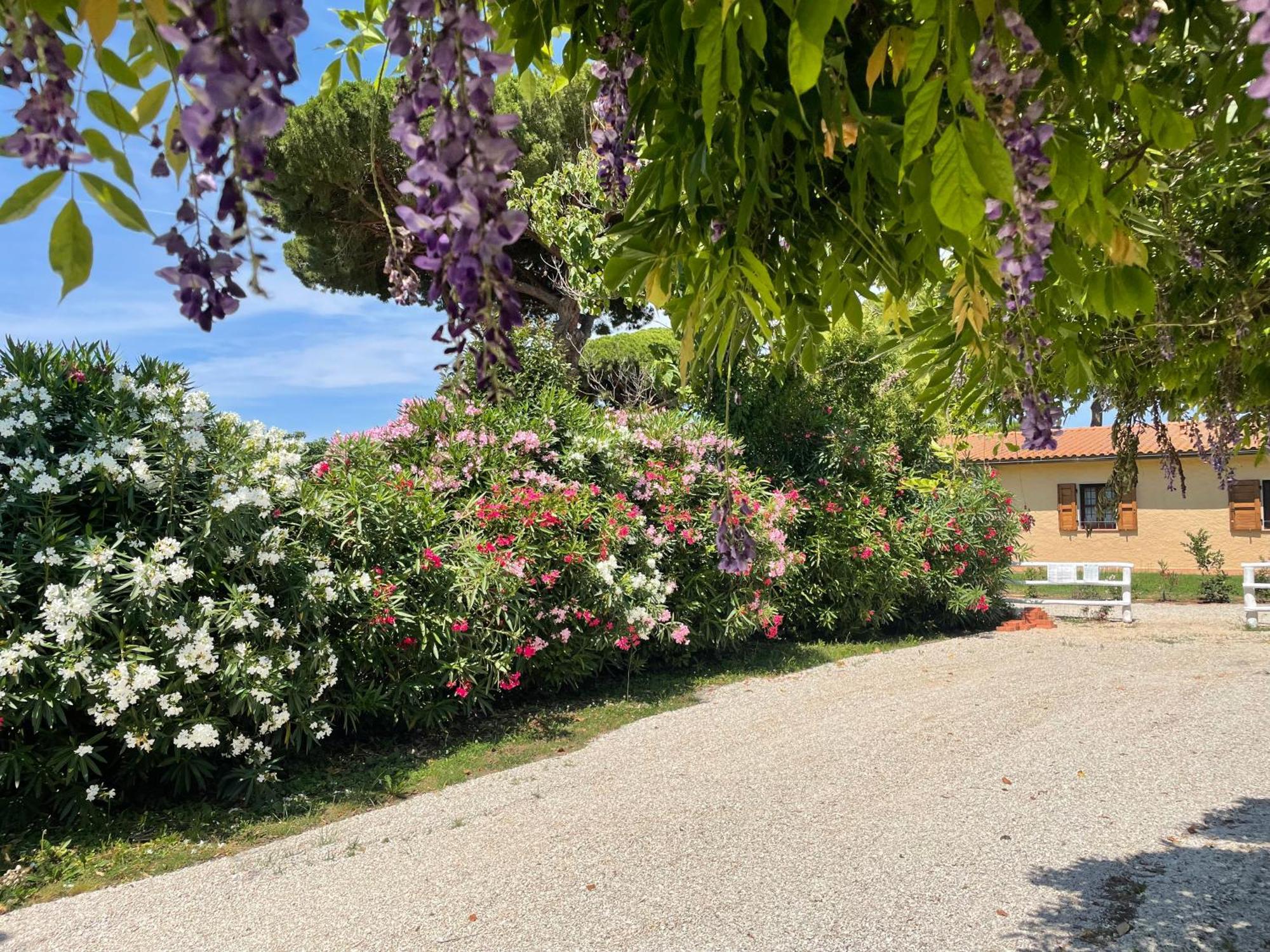 Agriturismo La Valle - By Podere Arundineto Castagneto Carducci Eksteriør bilde